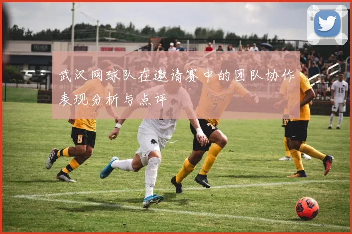 武汉网球队在邀请赛中的团队协作表现分析与点评