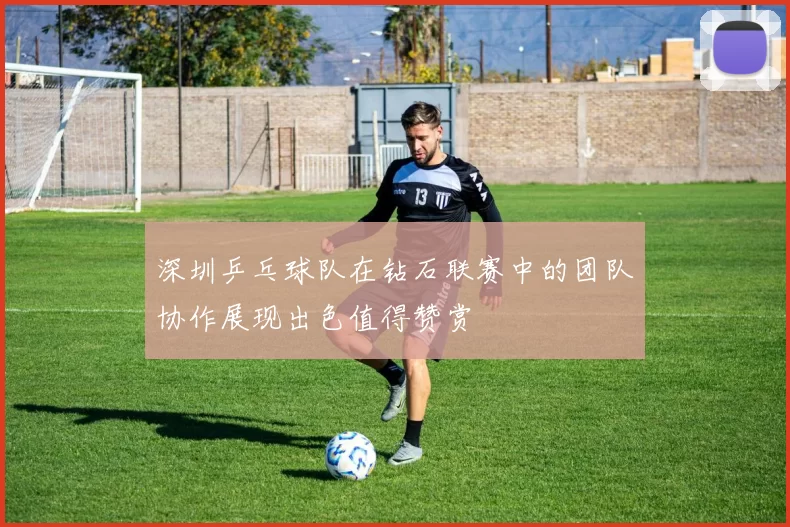 深圳乒乓球队在钻石联赛中的团队协作展现出色值得赞赏