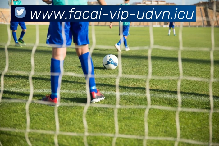 九游体育发展历程